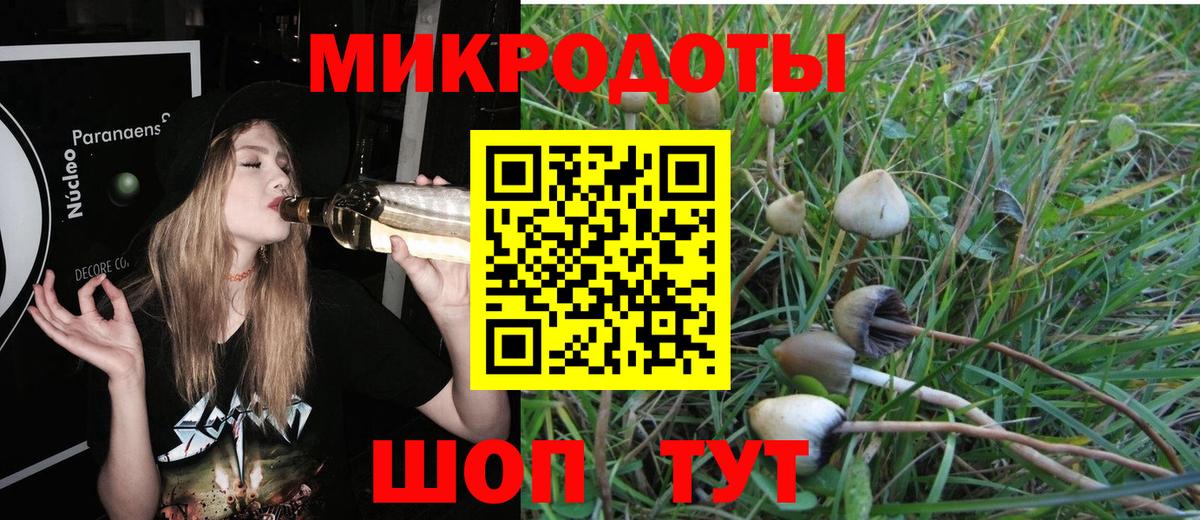 Псилоцибиновые грибы MAGIC MUSHROOMS  Вход с VPN  Псилоцибиновые грибы MAGIC MUSHROOMS  Муравленко 